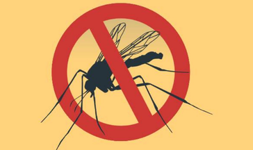 Chikungunya